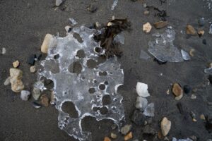 Détail d'une plaque de glace translucide avec des bulles d'air posée sur le sable gris d'une plage, entourée de petits cailloux et d'algues.
