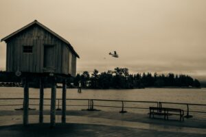 Hydravion survolant Coal Harbour à Vancouver avec la sculpture LightShed (cabane sur pilotis) au premier plan.