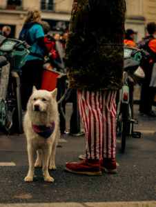 Photographie de rue montrant un grand chien blanc avec un bandana, à côté de son propriétaire portant un pantalon à rayures rouges et blanches et des bottes rouges.
